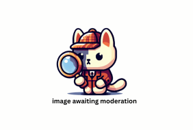 image awaiting moderation